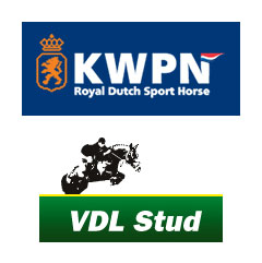 VDL Stud - KWPN