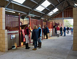 Indoor stabling